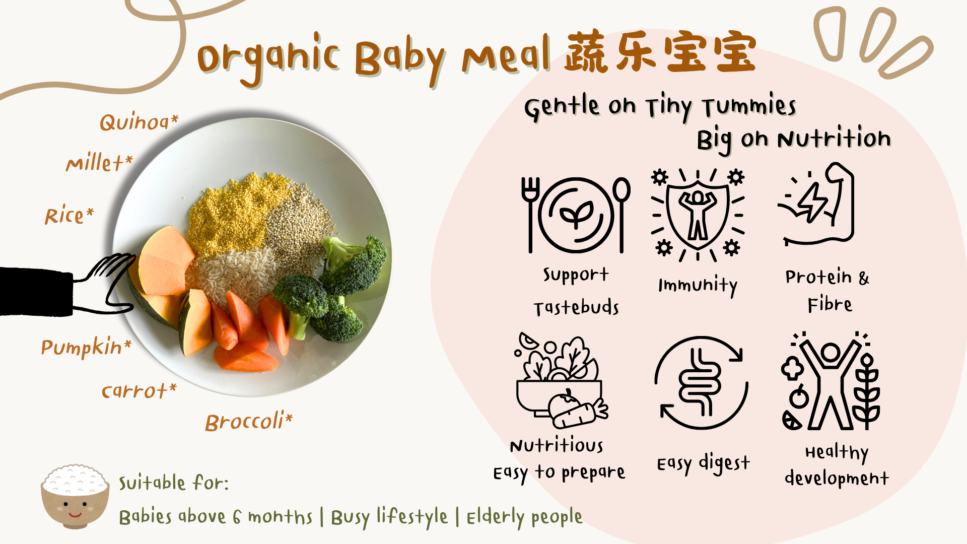 Organic Baby Meal, showing Millet, Quinoa, Rice, Pumpkin, Carrot, Broccoli, function like support tastebuds, child immune, protein & fibre, easy to prepare, easy to digest, healthy development