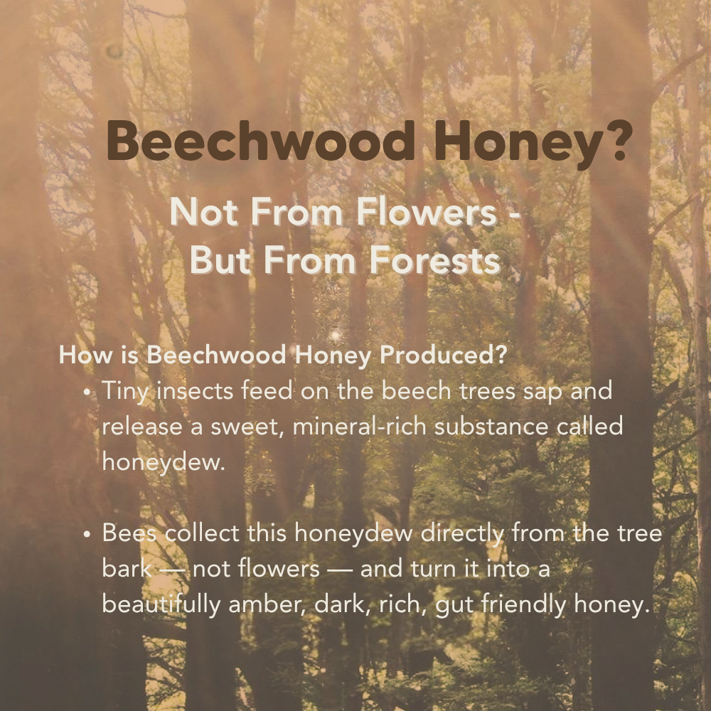 Beechwood Honeydew Honey, 160g, 1.4kg, J.Friend & Co, Raw, Pure, Artisan, New Zealand