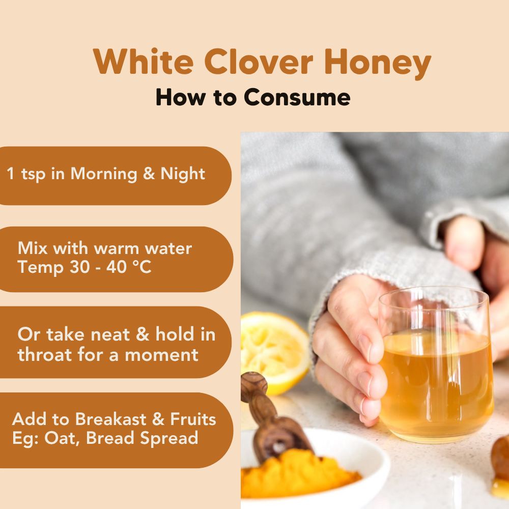 White Clover Honey, 160g, 1.4kg, J.Friend & Co, Raw, Pure, Artisan, New Zealand