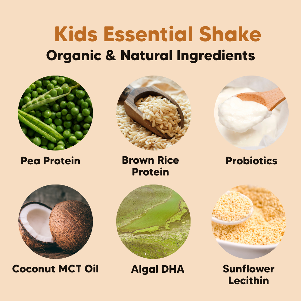 Sprout Organic Essential Shake Vanilla, Kids Protein 700g