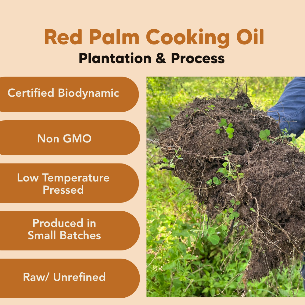 Red Palm Cooking Oil, BD&O, Biodynamic, Organic, Raw, Unrefined
