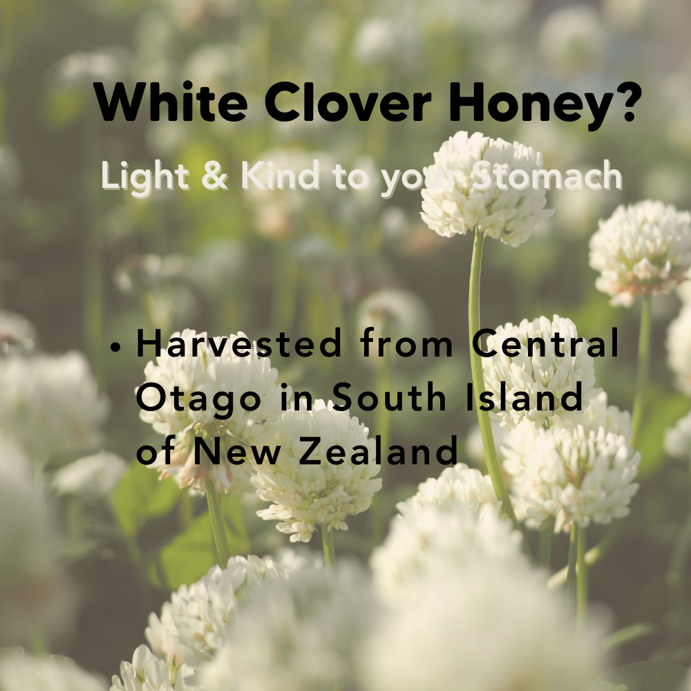 White Clover Honey, 160g, 1.4kg, J.Friend & Co, Raw, Pure, Artisan, New Zealand