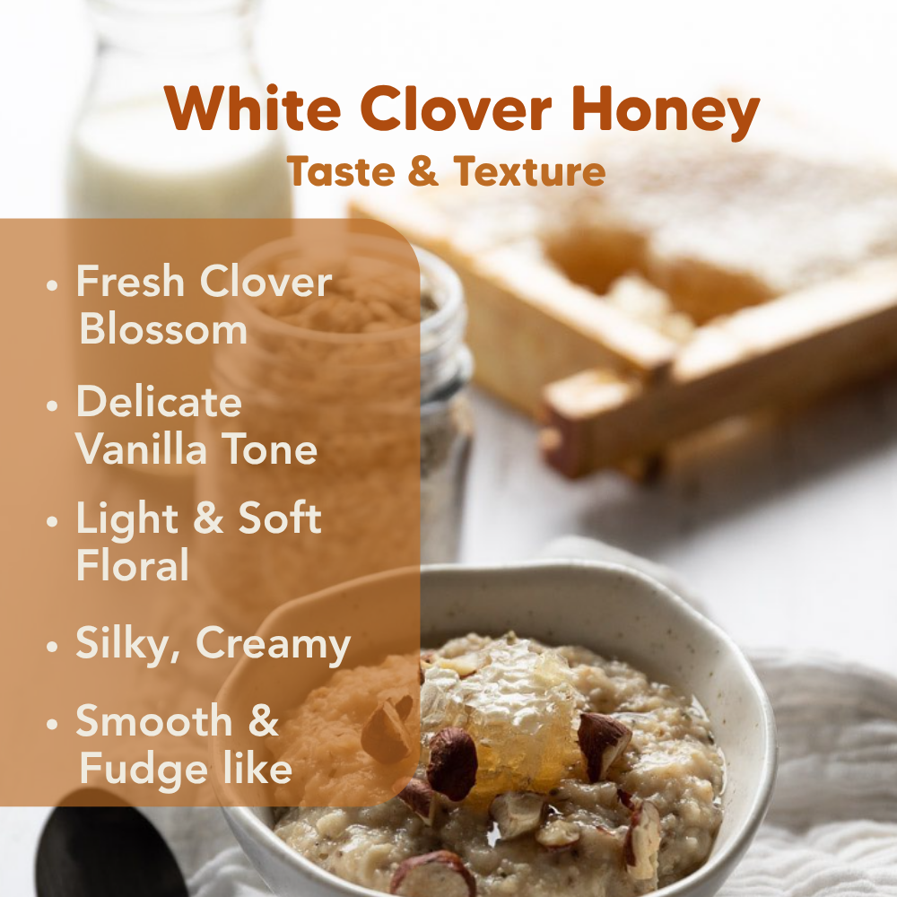 White Clover Honey, 160g, 1.4kg, J.Friend & Co, Raw, Pure, Artisan, New Zealand