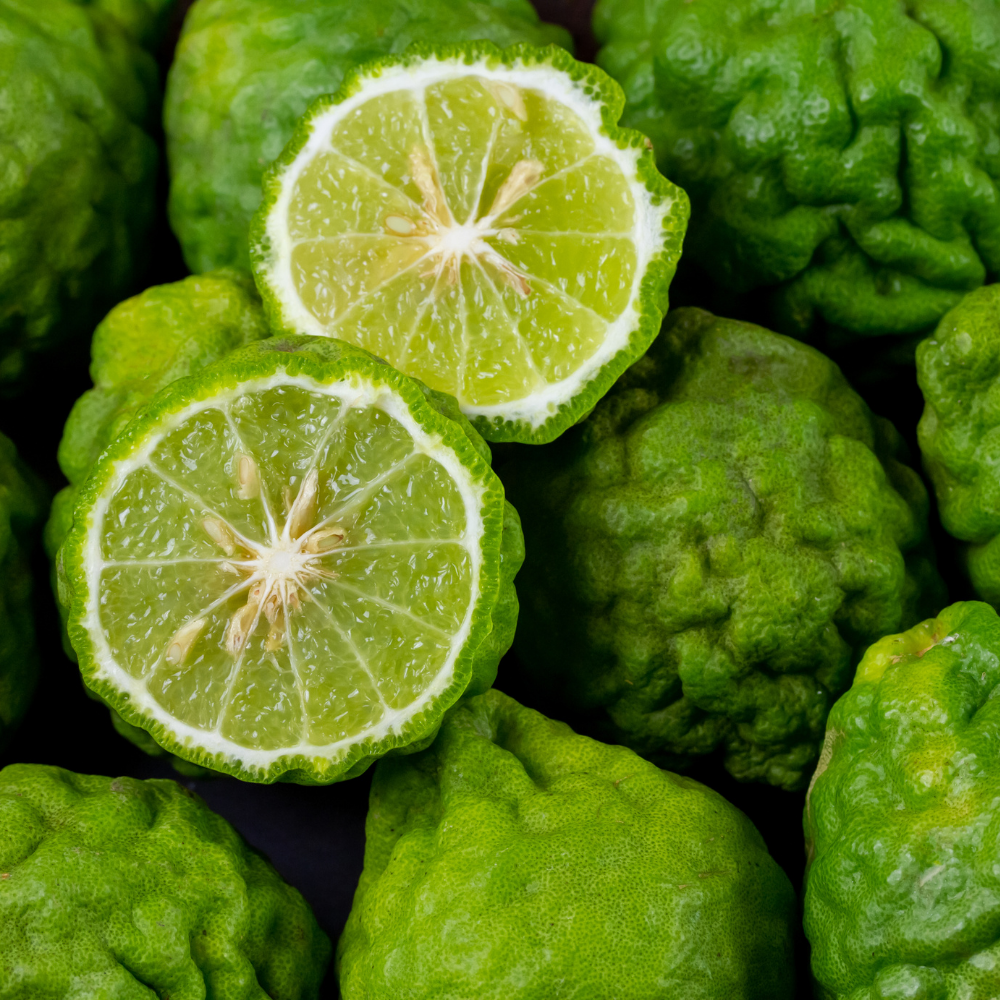 Organic Bergamot Essential Oil, L&P Organic Natural