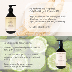 Daily Essential Series