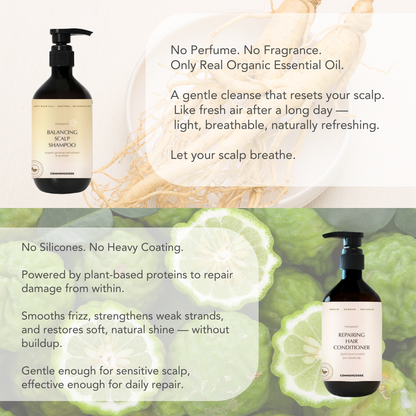 Daily Essential Series