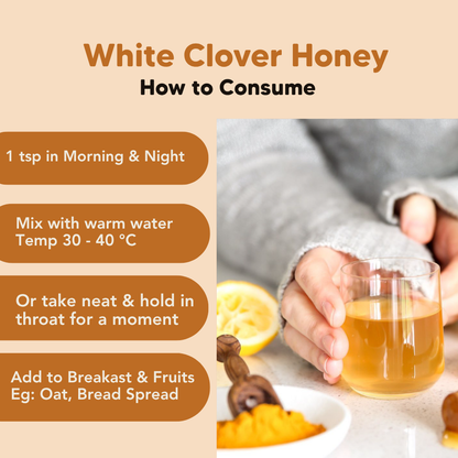White Clover Honey, 160g, 1.4kg, J.Friend & Co, Raw, Pure, Artisan, New Zealand