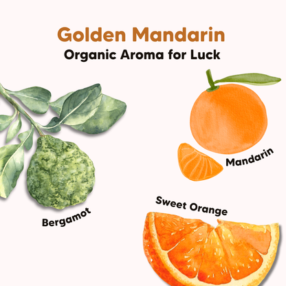 Golden Mandarin Shower Oil with Red Palm Oil, Common Goods Malaysia, 200ml