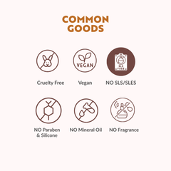 Daily Essential Series