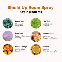 Room & Pillow Spray, Shield Up, Defense & Clear, L&P Organic Natural