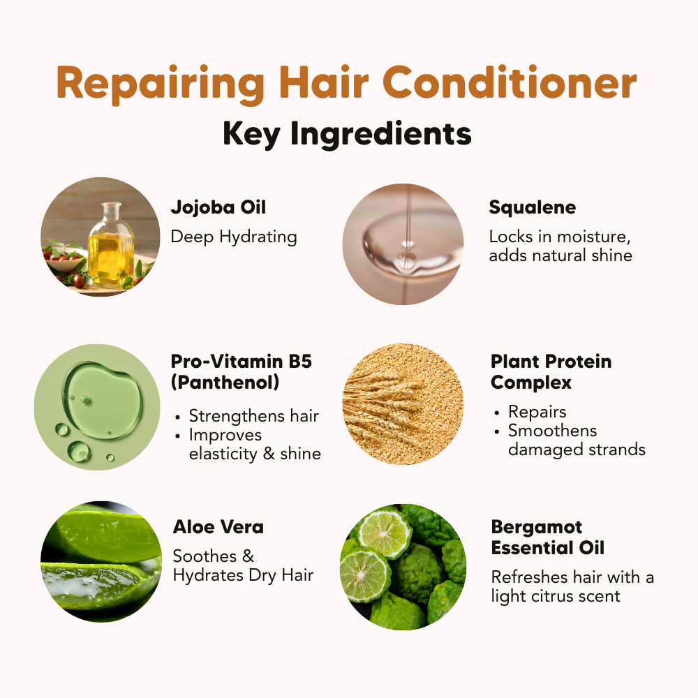 Daily Essential Series