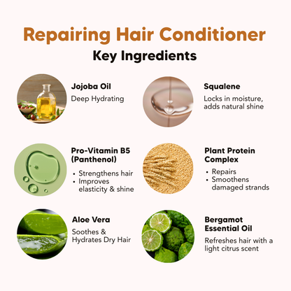 Daily Essential Series