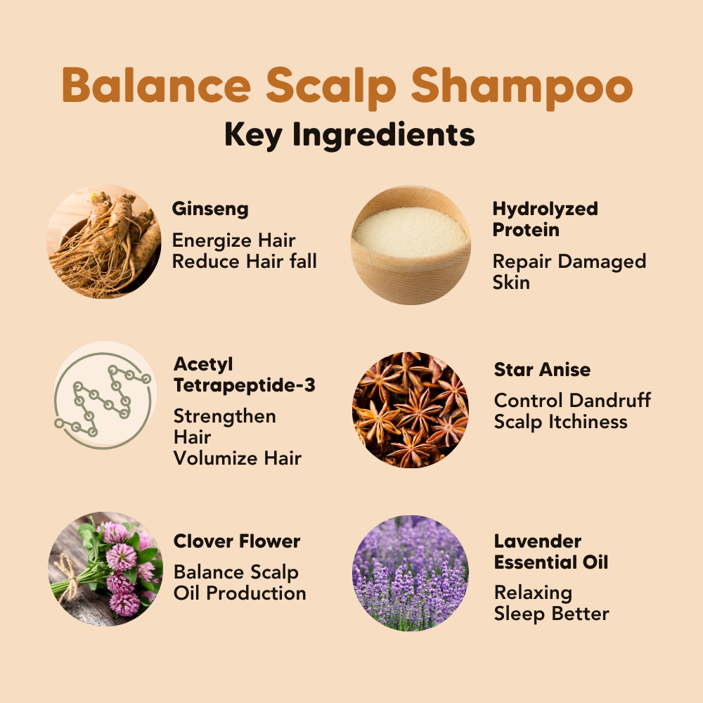 Balancing Scalp Hair Shampoo (Lavender), 500ml, Common Goods, Malaysia