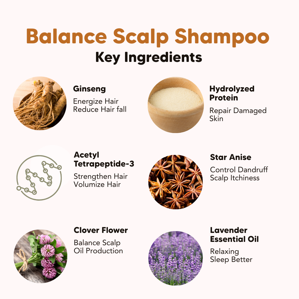 Daily Essential Series