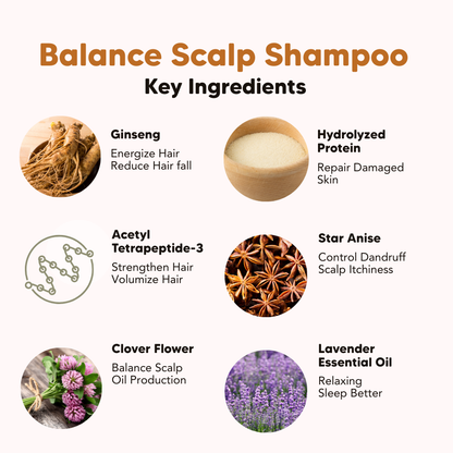 Daily Essential Series