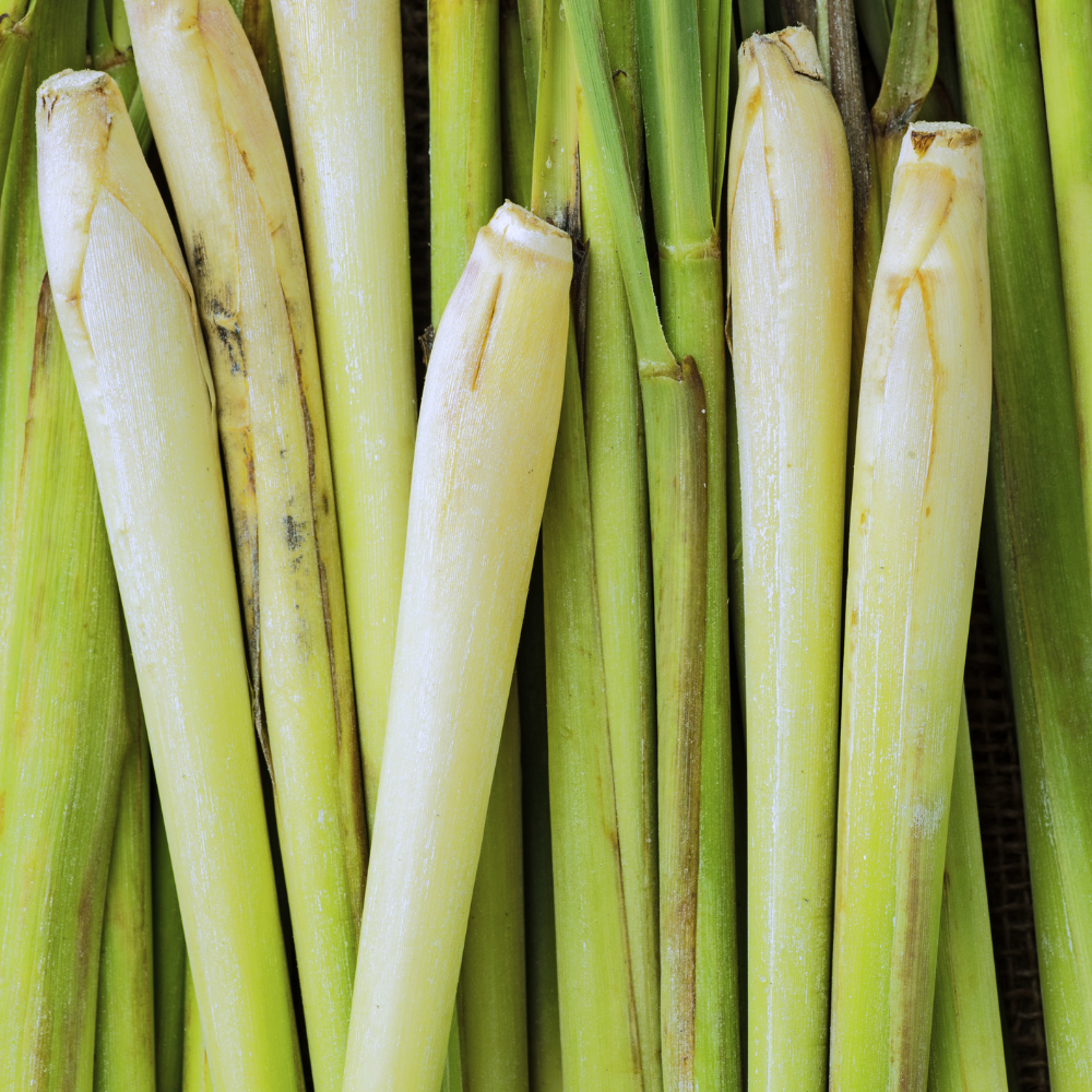 Organic Lemongrass Essential Oil, L&P Organic Natural