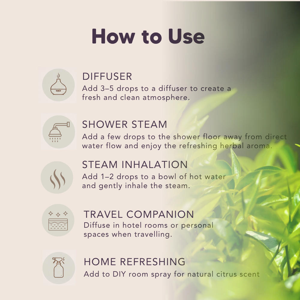 Shield Up, Organic Essential Oil Blend, L&P Organic Natural