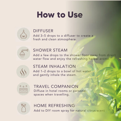 Shield Up, Organic Essential Oil Blend, L&P Organic Natural