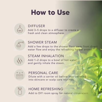 Organic Tea Tree Essential Oil, L&P Organic Natural